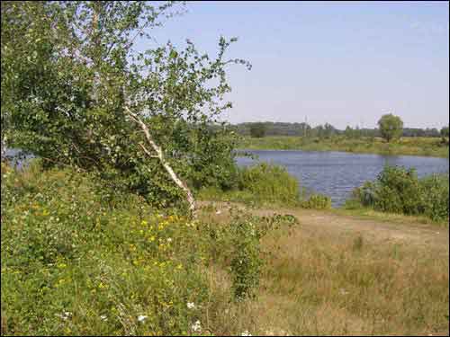 Озеро у Припяти 